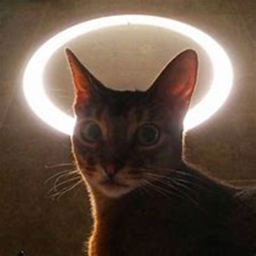 the cat church