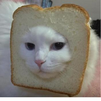 obby to admin!    (not finished)