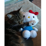 tipsii