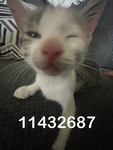 x9y