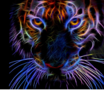 !Tiger Lords!