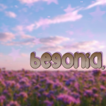 Begonia Boutique