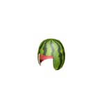 Melon Riot Group
