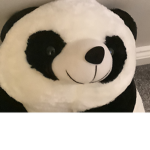 Panda Expropriation