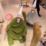 Wizards Of The Century