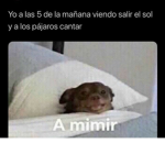 .-. hola k hace