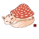 Kawaii Cat land group