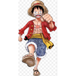 Luffy reunited