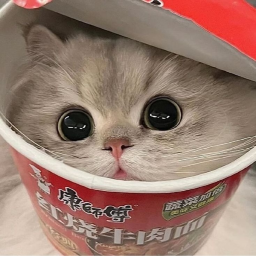 kittyyyyyyyyyyyy