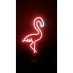 Fʟᴀᴍɪɴɢᴏ ʙɪʀᴅɪᴇs
