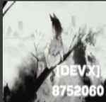 [DEV.X]