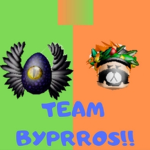 Team BYPRROS!!!
