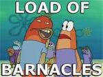 roblox is a load of barnicles
