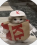 Canada fans group