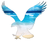 Aerostel ®