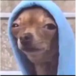 Coco hehe