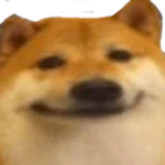 anty 'motes Group Thumbnail