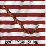 The Continental Navy {TCN}