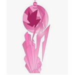 *Pink Diamonds Court*