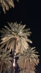 UXE-