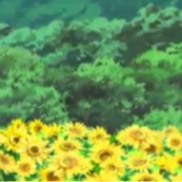 🌻