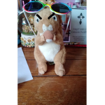 Ella's squirrel_tastic group