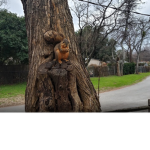 Squirrel gangster movie