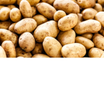 Potato club >:3