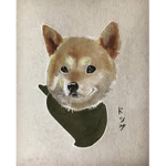 Doge Offical Team Group
