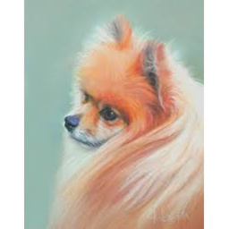 Pomeranian's World (NOT FINISHED)