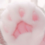 ‘kittypaw