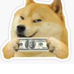 Doge's group!