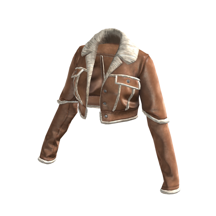 Brown Cropped Fur Leather Jacket