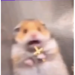 Cᴀʀʟʏ ᴅ-ᴏ-ɴ-ᴀ-ᴛ-ɪ-ᴏ-ɴ