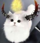 ~ Cat Kawaii ~