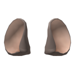 Chuck E.’s Ears