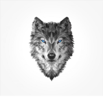 Dark Wolf fan club :3