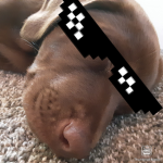 Fnaf_yt