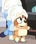 We are all cookie fans for EVER
