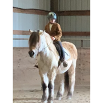 Horsesarecool<3