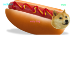 Hotdoge studio