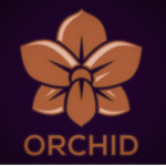 Orchid 蘭