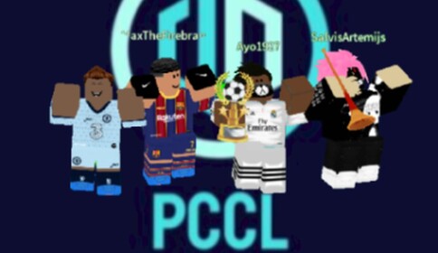 [ P C C L] Public Pitch