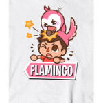 Flamingo watcher's