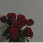 !! - : roses fanclub : - !!