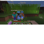 minecraft gracze