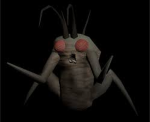 the cool bug gang