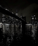 Cute Omelettes !