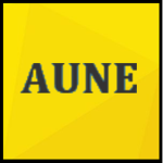 Aune_Inc.