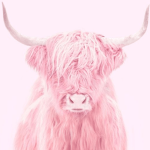 ~Magical Cow Gang~